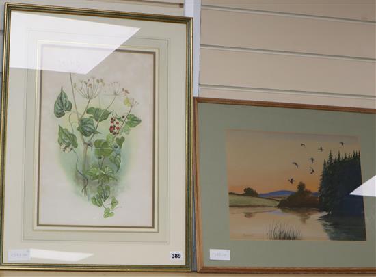 Fish Hawk, watercolour, Ducks over a lake, 27 x 36cm and a botanical study by Dugald Graham-Campbell,